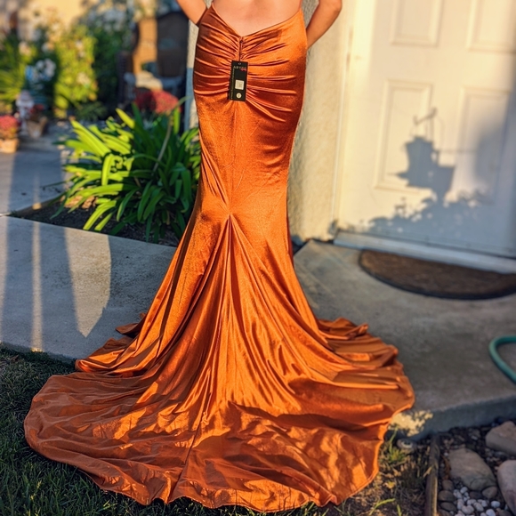 Rose Gown from Abyss by Abby - Picture 5 of 7